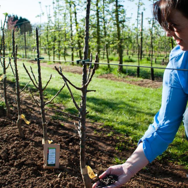 Tipp 2019 April Marjolein minimest Dünger