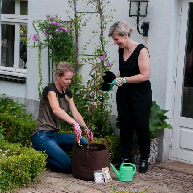 2019 Stimmungsbild Freundinnen pflanzen