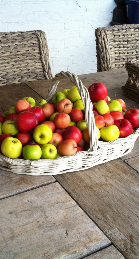 Äpfel in einem Korb auf dem Gartentisch von Mieke